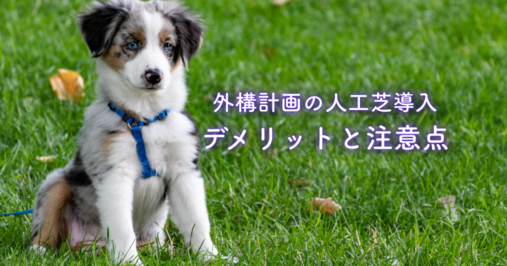外構計画の人工芝導入デメリットと注意点