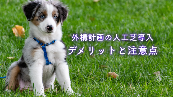 外構計画の人工芝導入デメリットと注意点