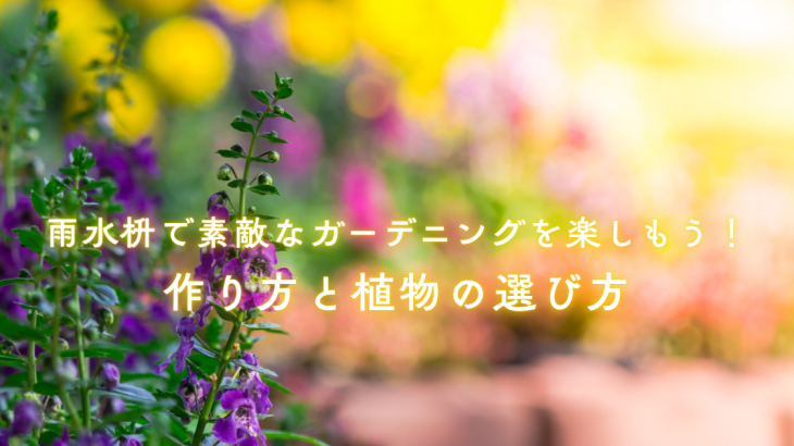 雨水枡で素敵なガーデニングを楽しもう！作り方と植物の選び方