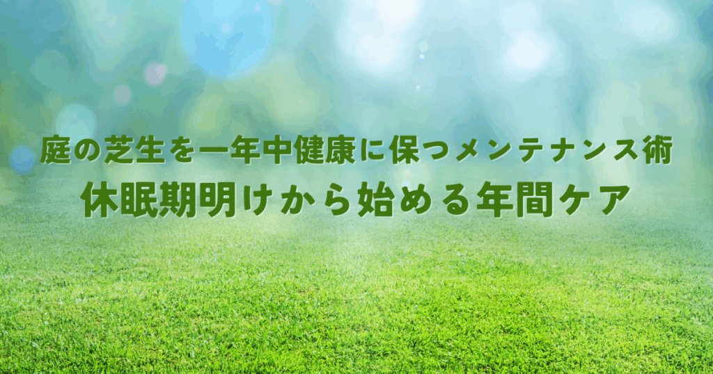 庭の芝生を一年中健康に保つメンテナンス術休眠期明けから始める年間ケア