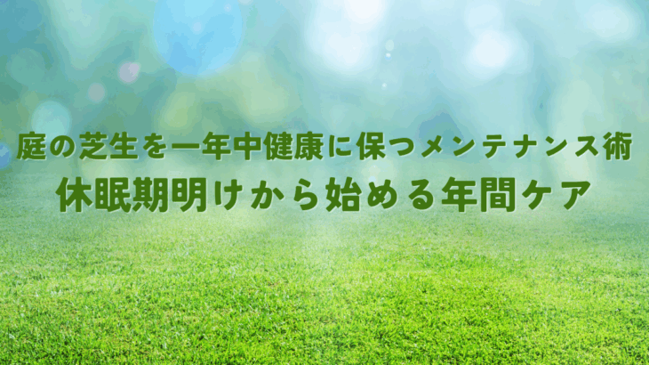 庭の芝生を一年中健康に保つメンテナンス術休眠期明けから始める年間ケア
